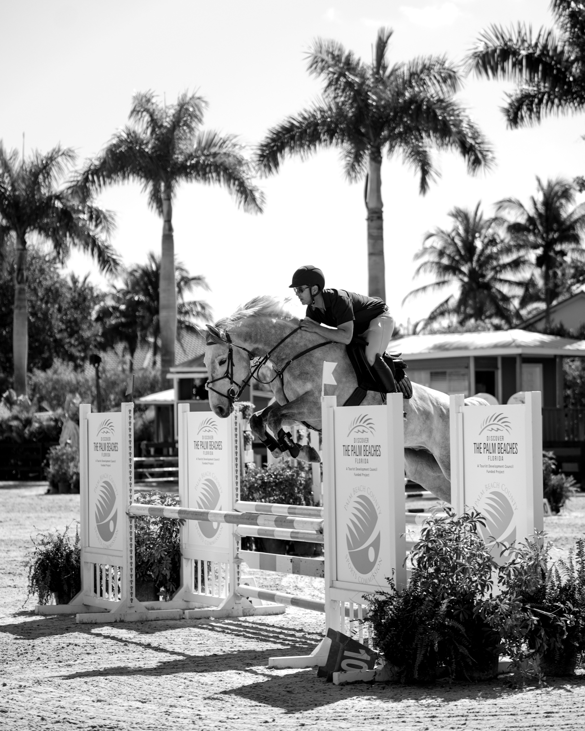 Horse and rider working under saddle