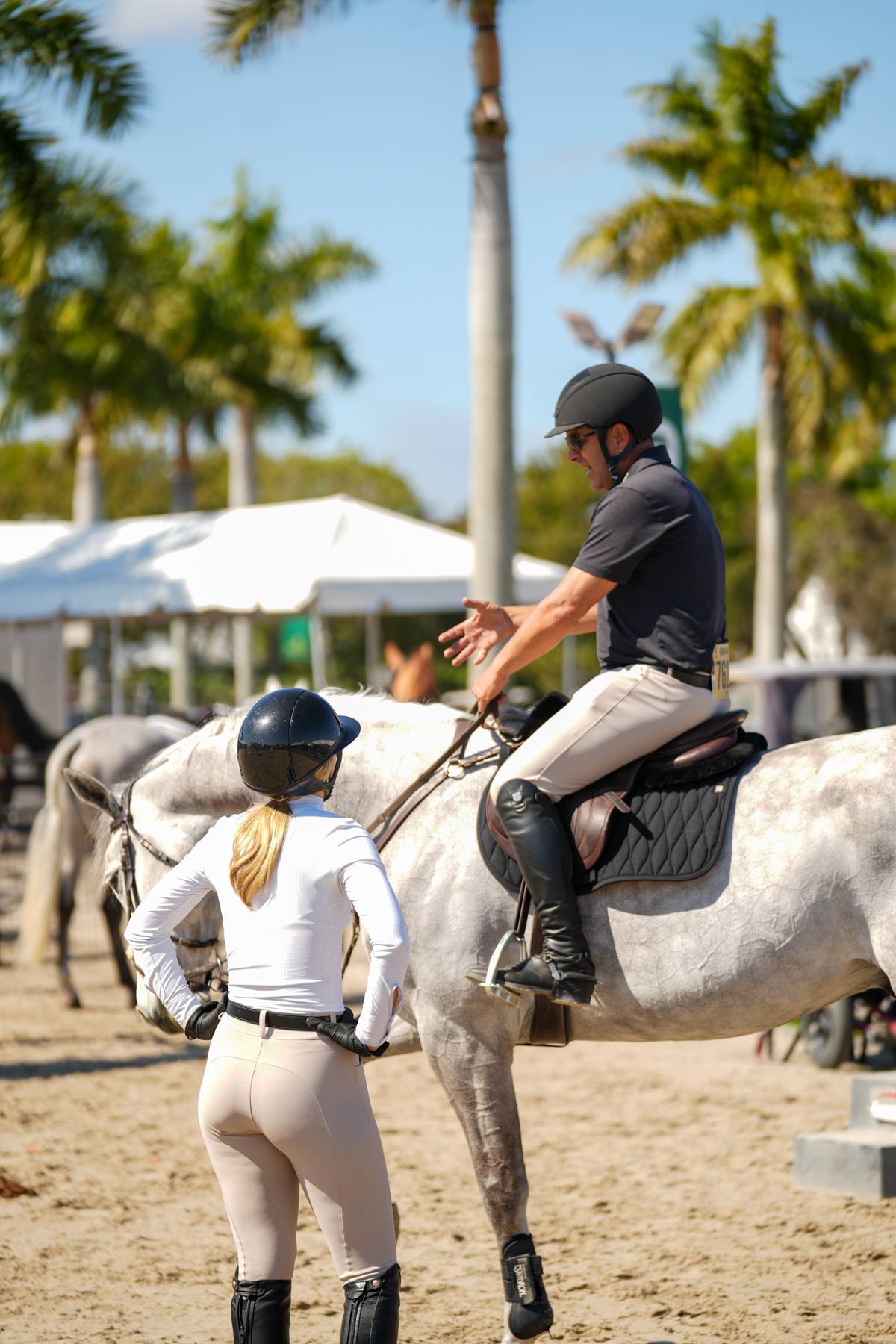 Selling your horse faster: what the data actually says